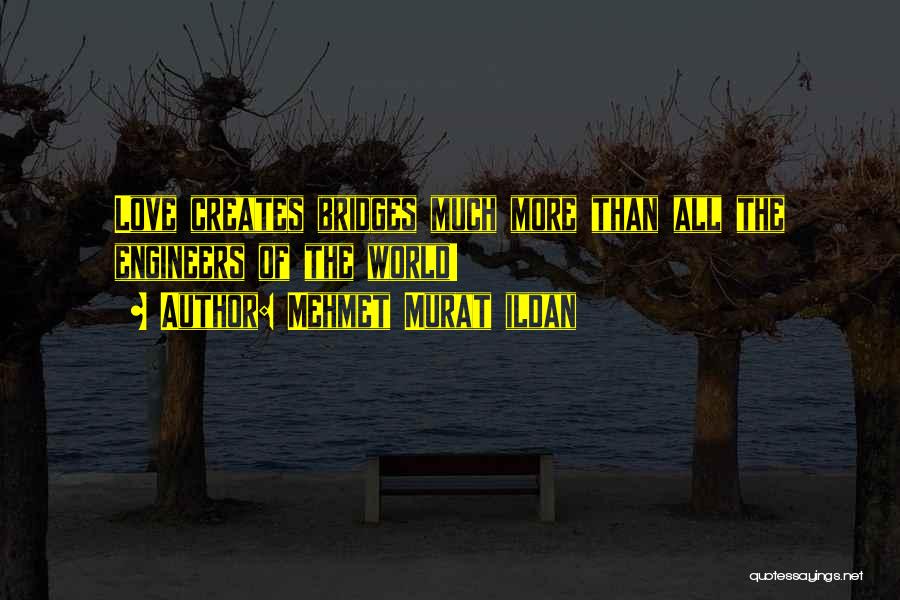 Famous Engineers Quotes By Mehmet Murat Ildan