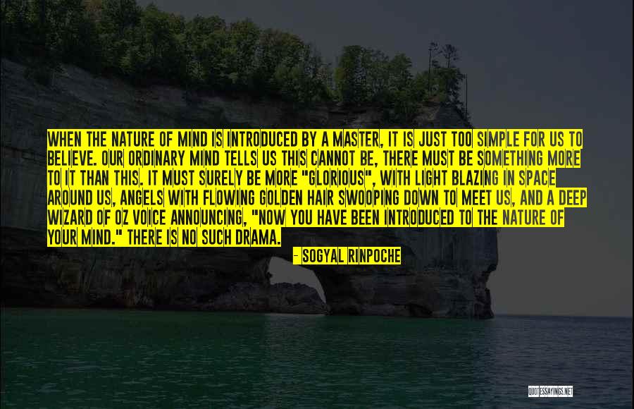 Famous Entomology Quotes By Sogyal Rinpoche Famous Entomology Quotes By Sogyal Rinpoche