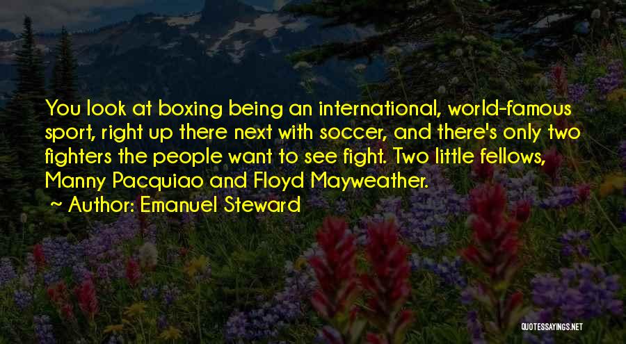 Famous Fighters Quotes By Emanuel Steward