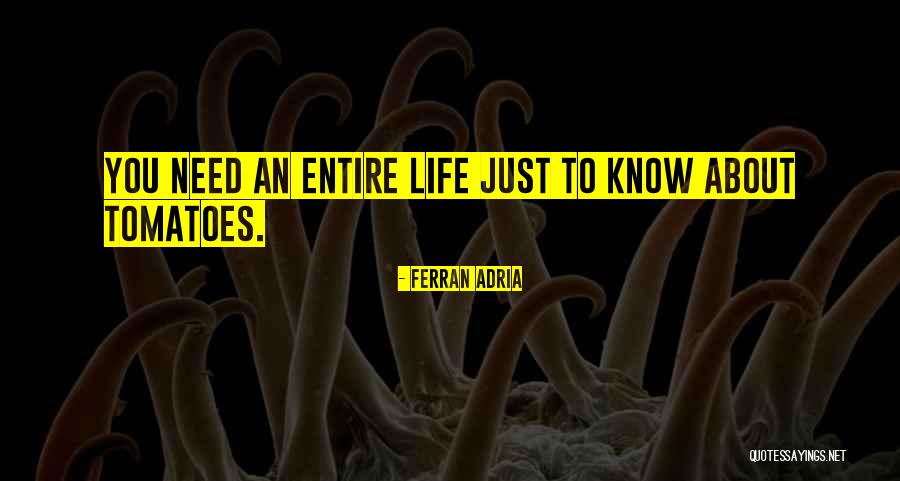 Famous Food Related Quotes By Ferran Adria Famous Food Related Quotes By Ferran Adria