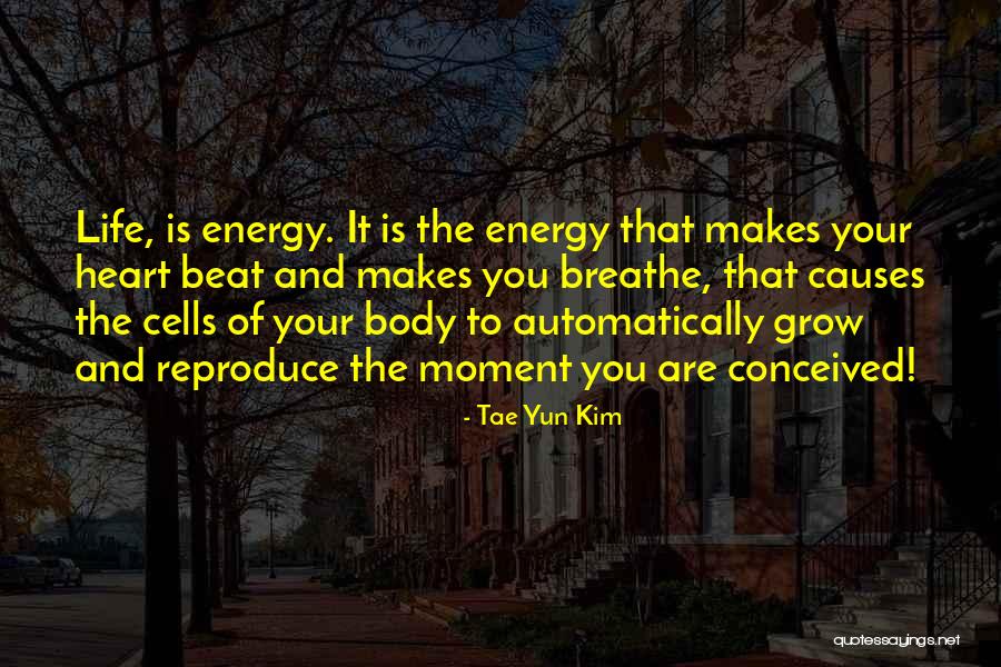 Famous Inspirational Quotes By Tae Yun Kim