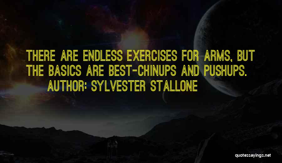 Famous Interior Decorator Quotes By Sylvester Stallone