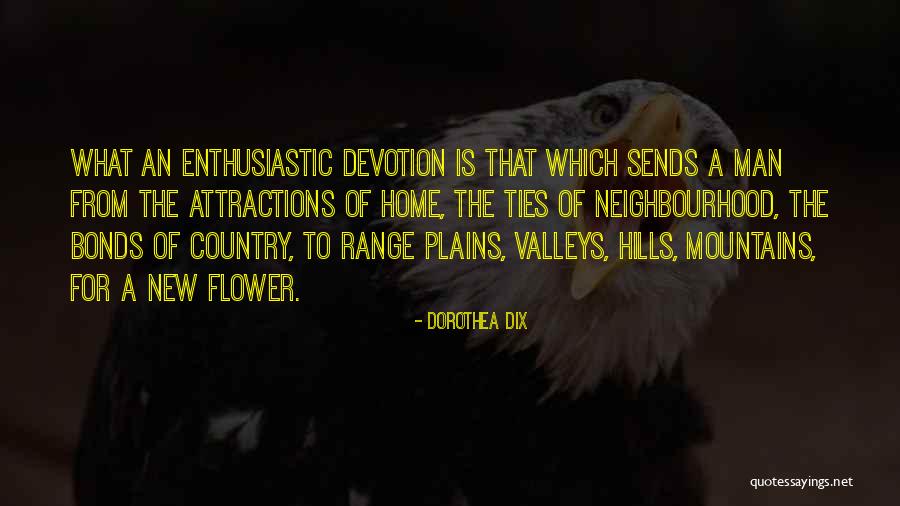 Famous Jamie Hyneman Quotes By Dorothea Dix Famous Jamie Hyneman Quotes By Dorothea Dix