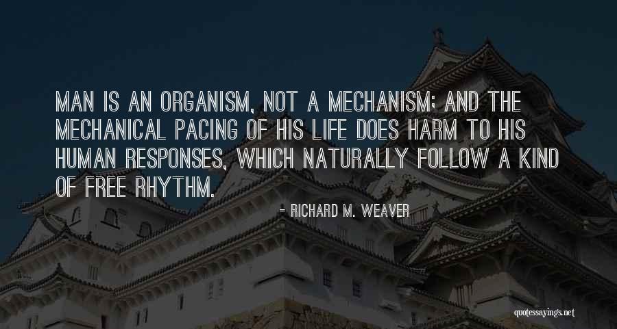 Famous Joseph Ratzinger Quotes By Richard M. Weaver Famous Joseph Ratzinger Quotes By Richard M. Weaver