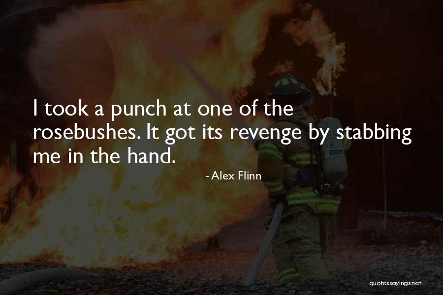 Famous Langenhoven Quotes By Alex Flinn Famous Langenhoven Quotes By Alex Flinn