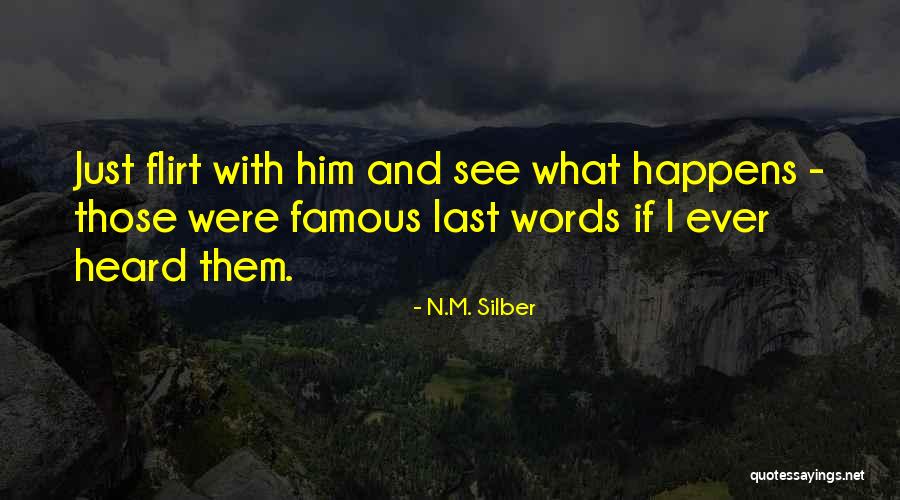 Famous Last Words Quotes By N.M. Silber