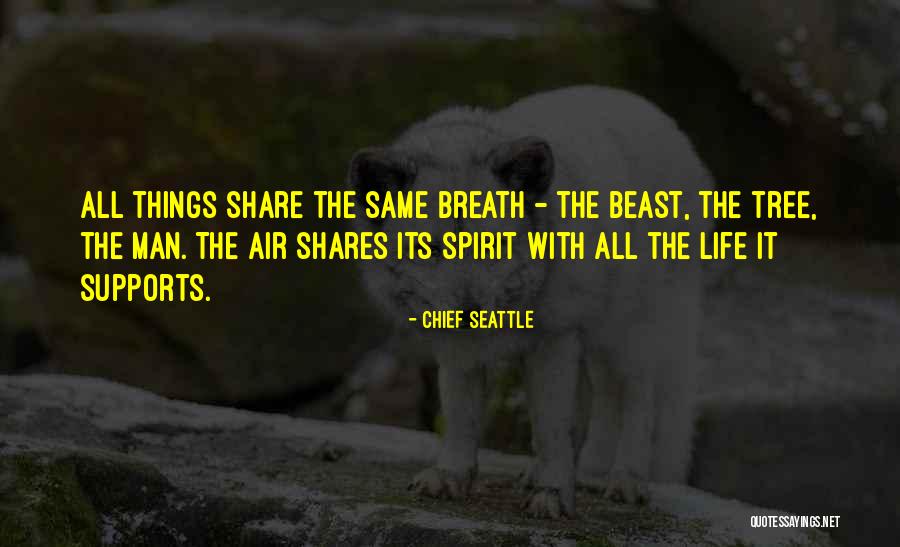 Famous Lighting Quotes By Chief Seattle