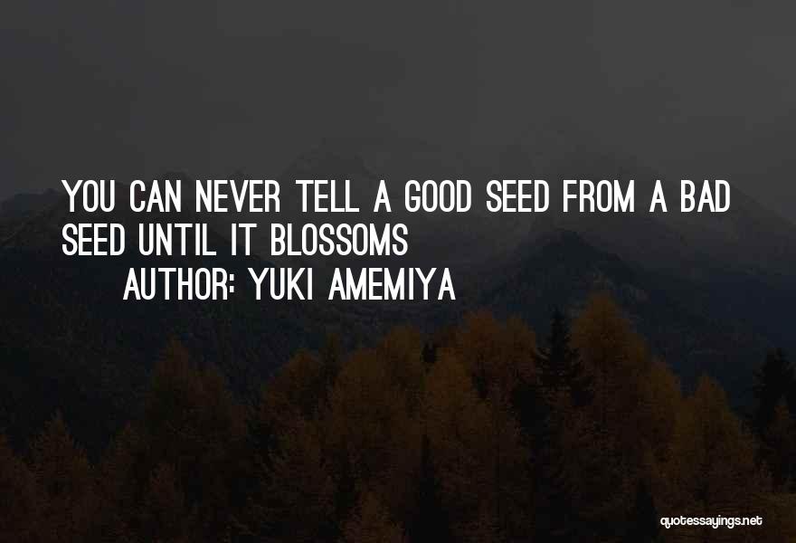 Famous Lloyd Banks Quotes By Yuki Amemiya
