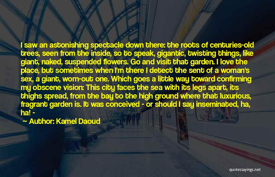 Famous Luxurious Quotes By Kamel Daoud