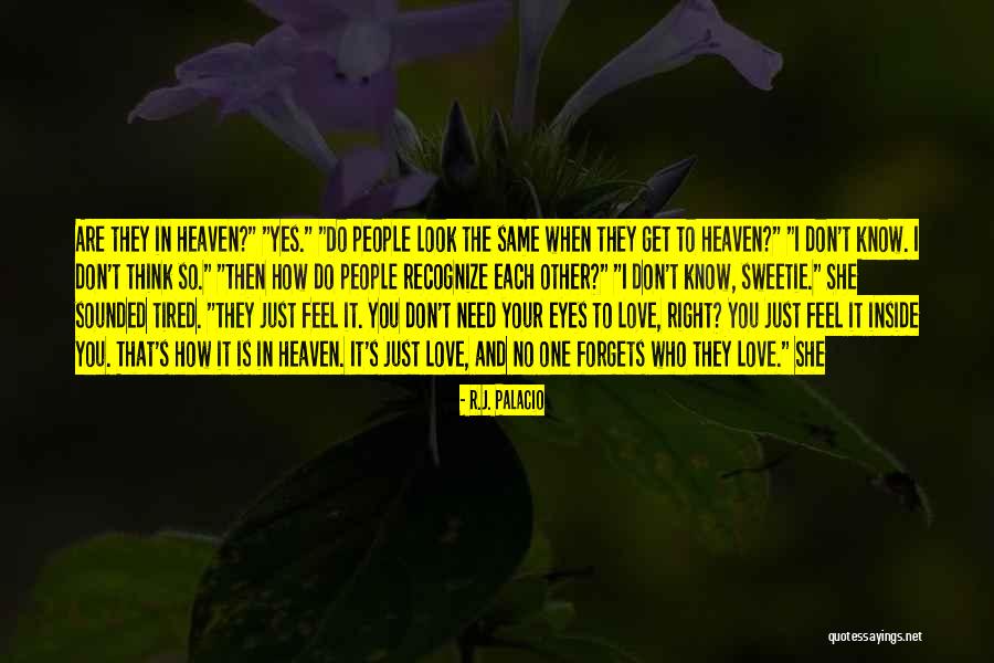 Famous Menino Quotes By R.J. Palacio Famous Menino Quotes By R.J. Palacio