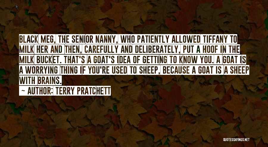 Famous Military Generals Quotes By Terry Pratchett