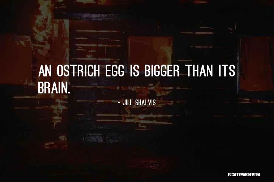 Famous Minecraft Quotes By Jill Shalvis Famous Minecraft Quotes By Jill Shalvis