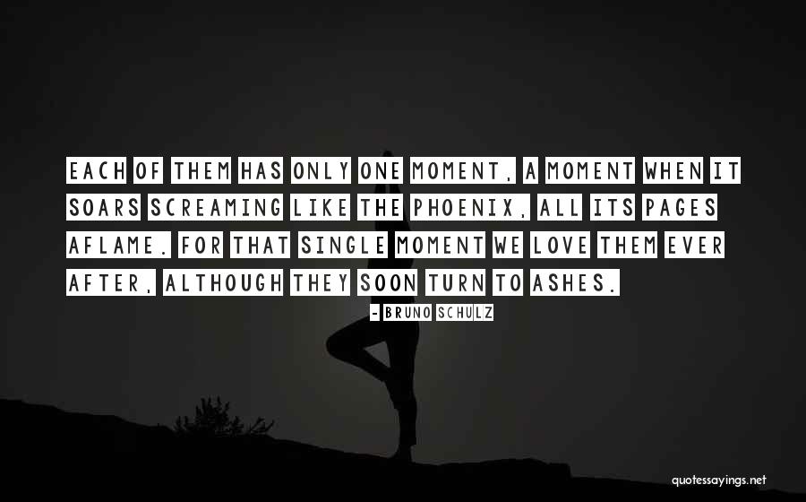 Famous Necessary Roughness Quotes By Bruno Schulz Famous Necessary Roughness Quotes By Bruno Schulz