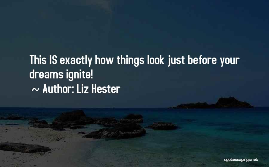 Famous New Look Quotes By Liz Hester