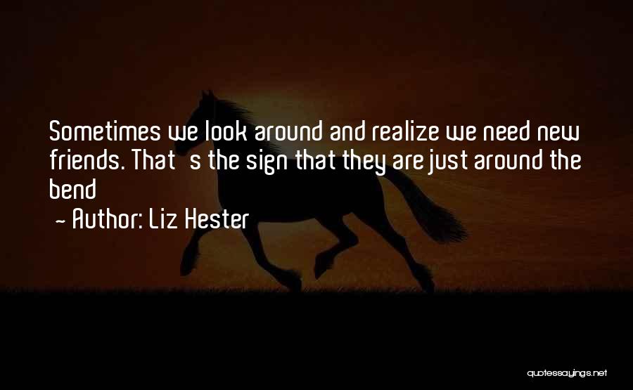 Famous New Look Quotes By Liz Hester