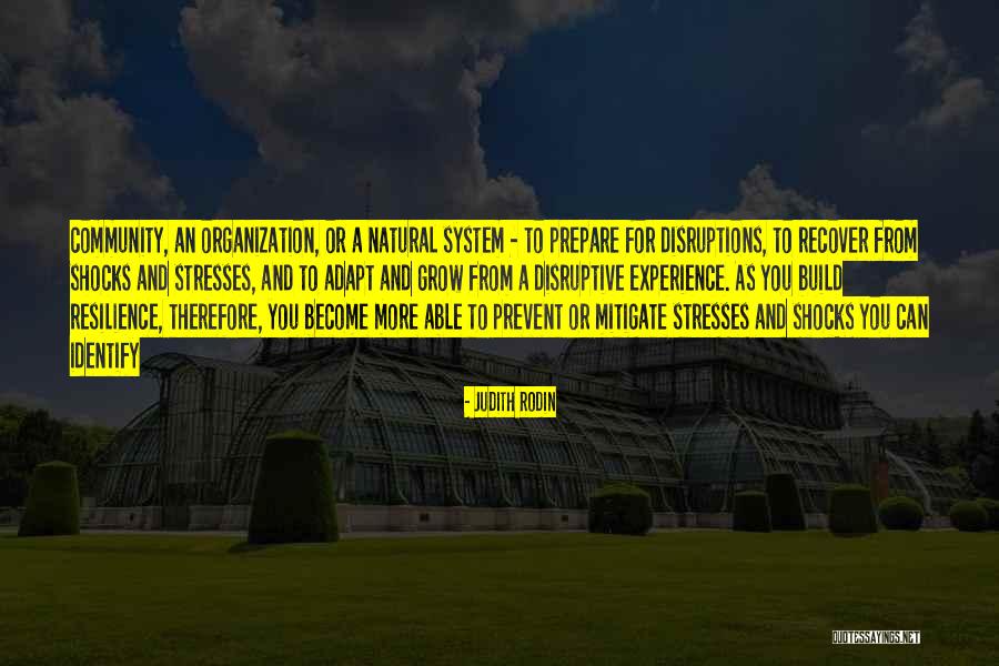 Famous Otis Quotes By Judith Rodin Famous Otis Quotes By Judith Rodin