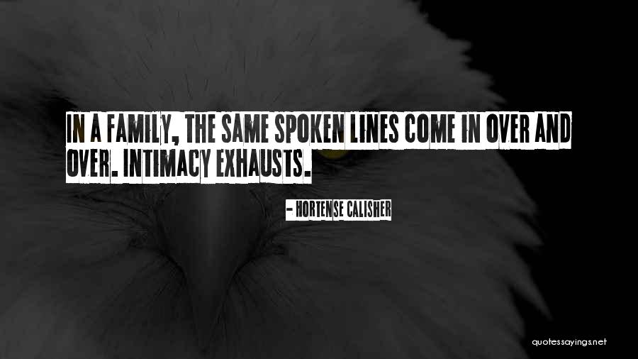 Famous Paratrooper Quotes By Hortense Calisher