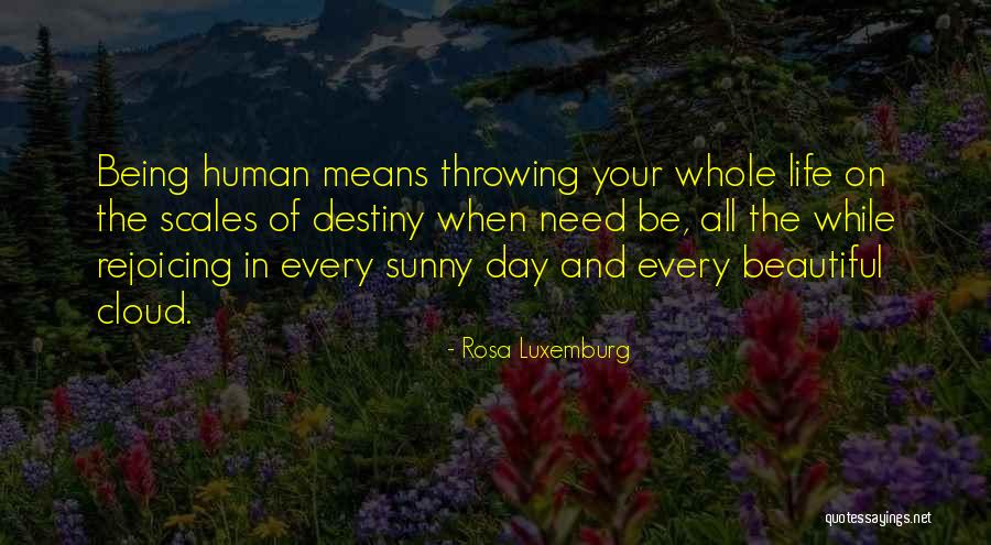 Famous Power Rangers Quotes By Rosa Luxemburg Famous Power Rangers Quotes By Rosa Luxemburg
