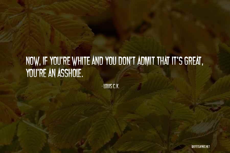 Famous Ramones Quotes By Louis C.K.