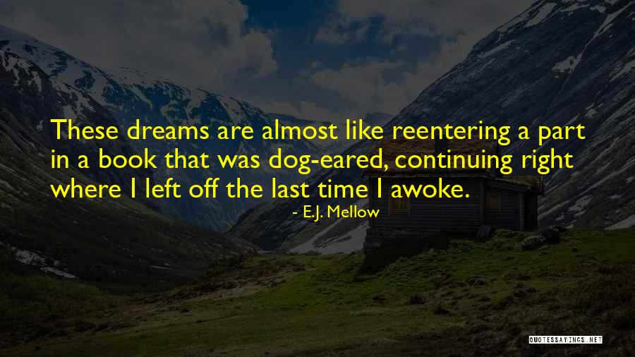 Famous Realists Quotes By E.J. Mellow Famous Realists Quotes By E.J. Mellow