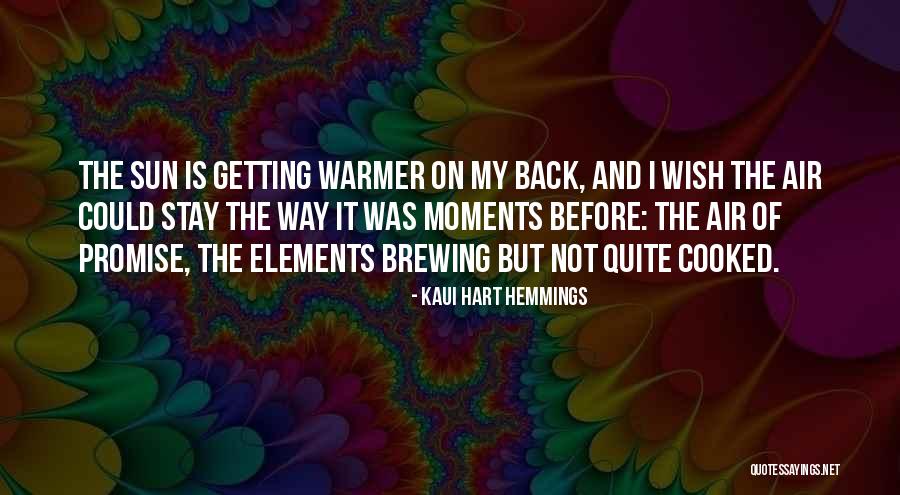 Famous Reggio Emilia Quotes By Kaui Hart Hemmings