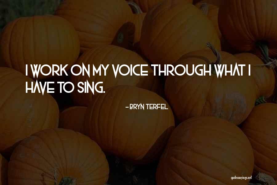 Famous Sports Agent Quotes By Bryn Terfel Famous Sports Agent Quotes By Bryn Terfel