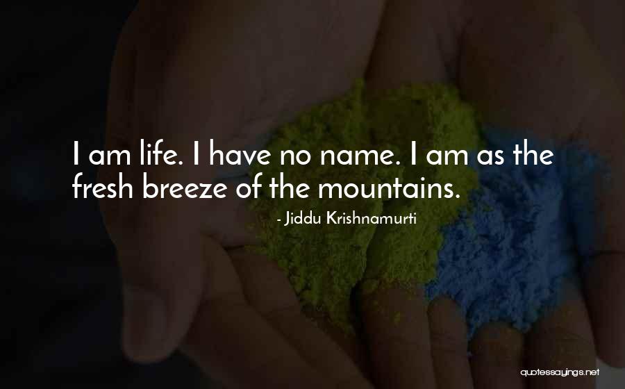 Famous Stand Tall Quotes By Jiddu Krishnamurti