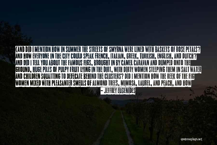 Famous Summer Quotes By Jeffrey Eugenides Famous Summer Quotes By Jeffrey Eugenides