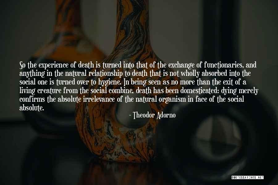 Famous Swahili Quotes By Theodor Adorno Famous Swahili Quotes By Theodor Adorno