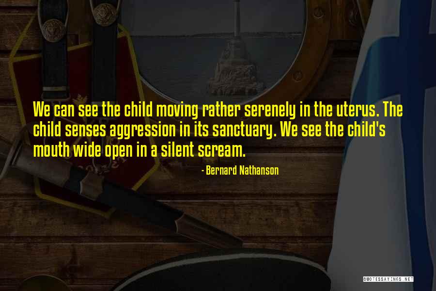 Famous Usmc Quotes By Bernard Nathanson Famous Usmc Quotes By Bernard Nathanson