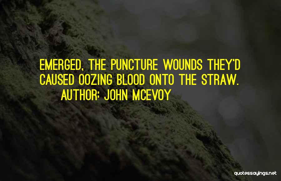 Famous Werner Herzog Quotes By John McEvoy