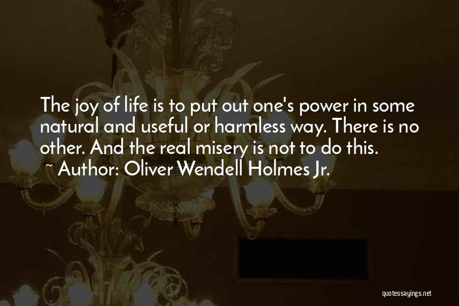 Famous Yoruba Proverb Quotes By Oliver Wendell Holmes Jr.