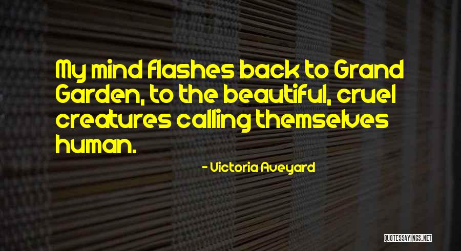 Famularo Kinnelon Quotes By Victoria Aveyard Famularo Kinnelon Quotes By Victoria Aveyard