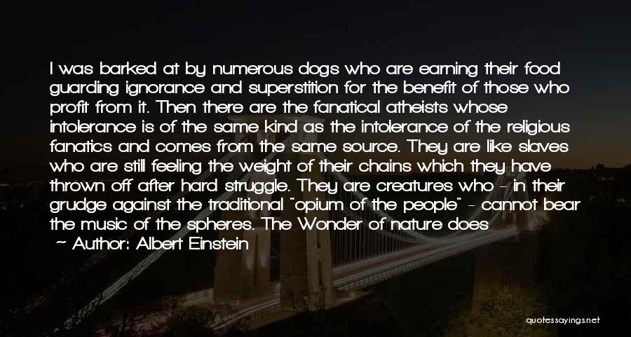 Fanatical Religious Quotes By Albert Einstein