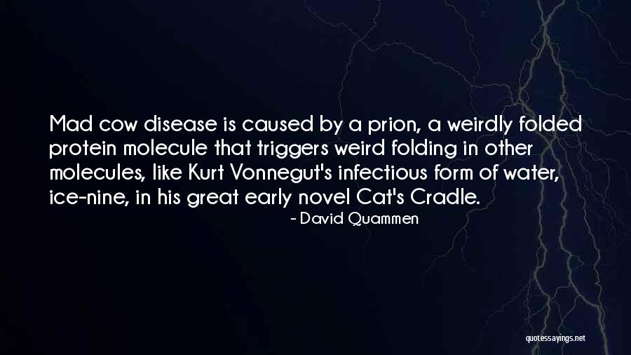 Fanciedsuperiority Quotes By David Quammen Fanciedsuperiority Quotes By David Quammen
