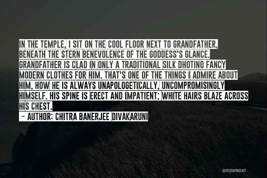 Fancy Clothes Quotes By Chitra Banerjee Divakaruni