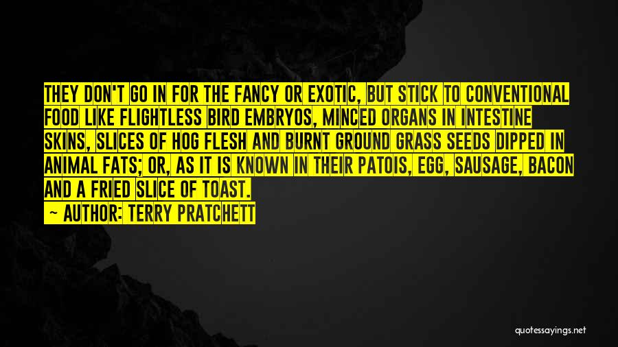 Fancy Food Quotes By Terry Pratchett