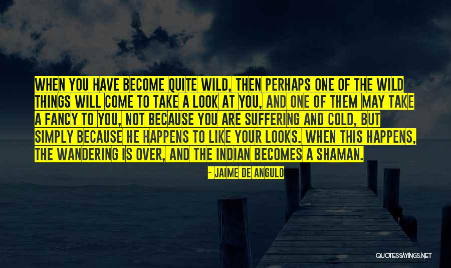 Fancy Things Quotes By Jaime De Angulo Fancy Things Quotes By Jaime De Angulo