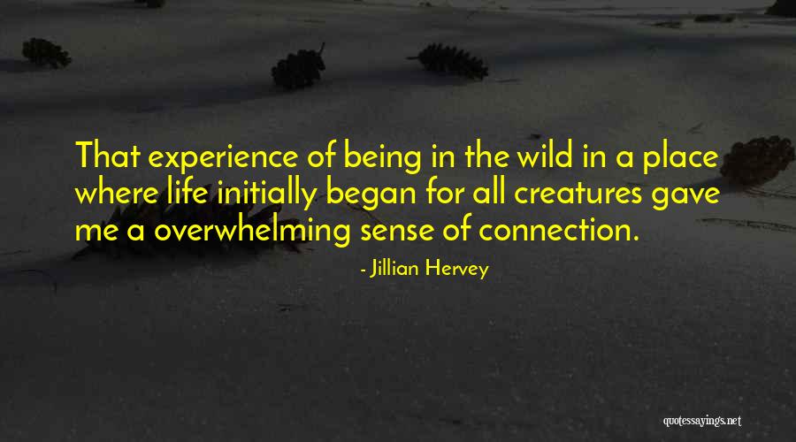 Fandsfabrics Quotes By Jillian Hervey Fandsfabrics Quotes By Jillian Hervey