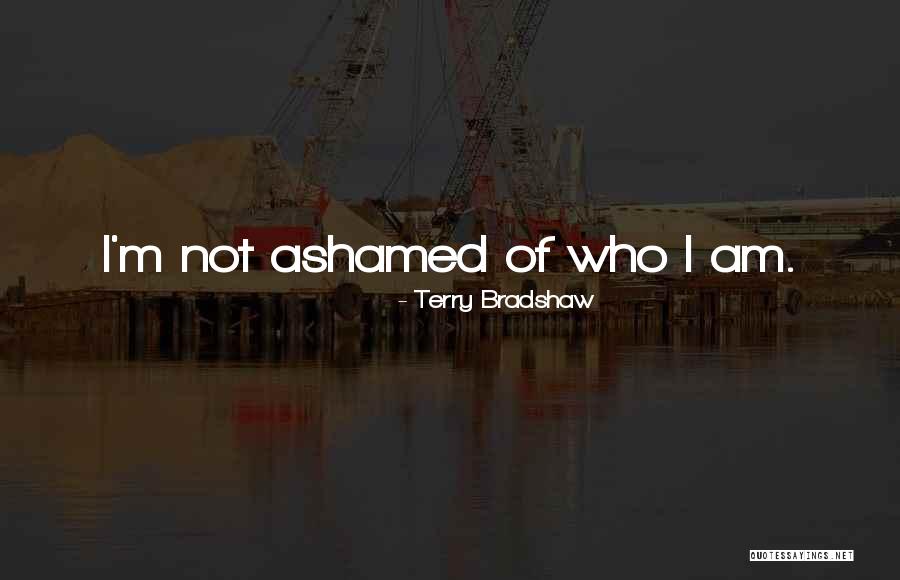 Faneuil Martinsville Quotes By Terry Bradshaw