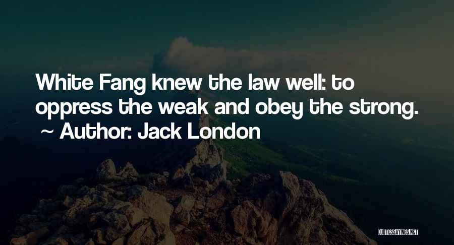 Fang Quotes By Jack London