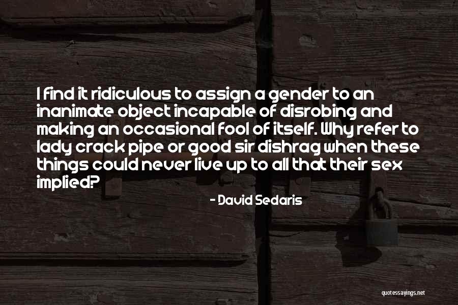 Fangettepins Quotes By David Sedaris Fangettepins Quotes By David Sedaris
