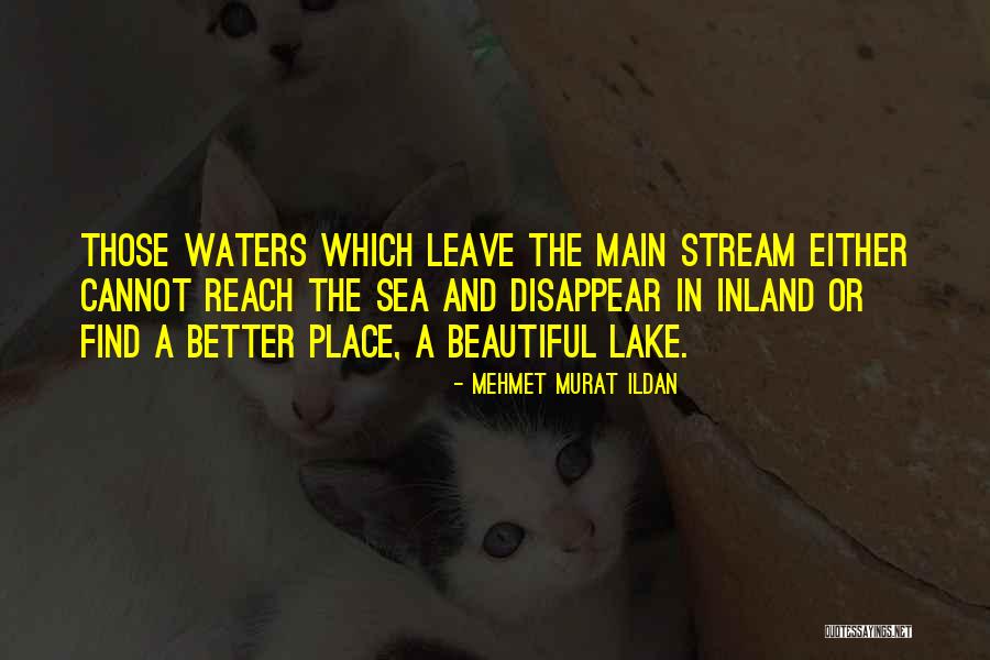 Fangirls Memes Quotes By Mehmet Murat Ildan Fangirls Memes Quotes By Mehmet Murat Ildan