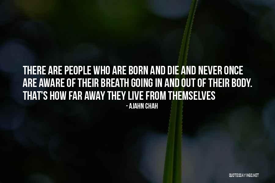 Fanita Smith Quotes By Ajahn Chah Fanita Smith Quotes By Ajahn Chah