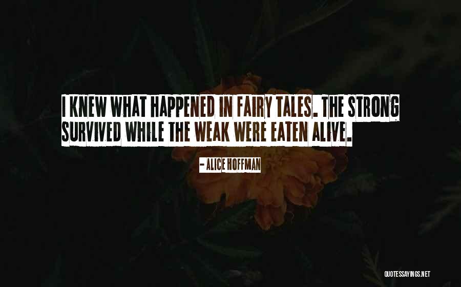 Fanizzis Restaurant Quotes By Alice Hoffman Fanizzis Restaurant Quotes By Alice Hoffman