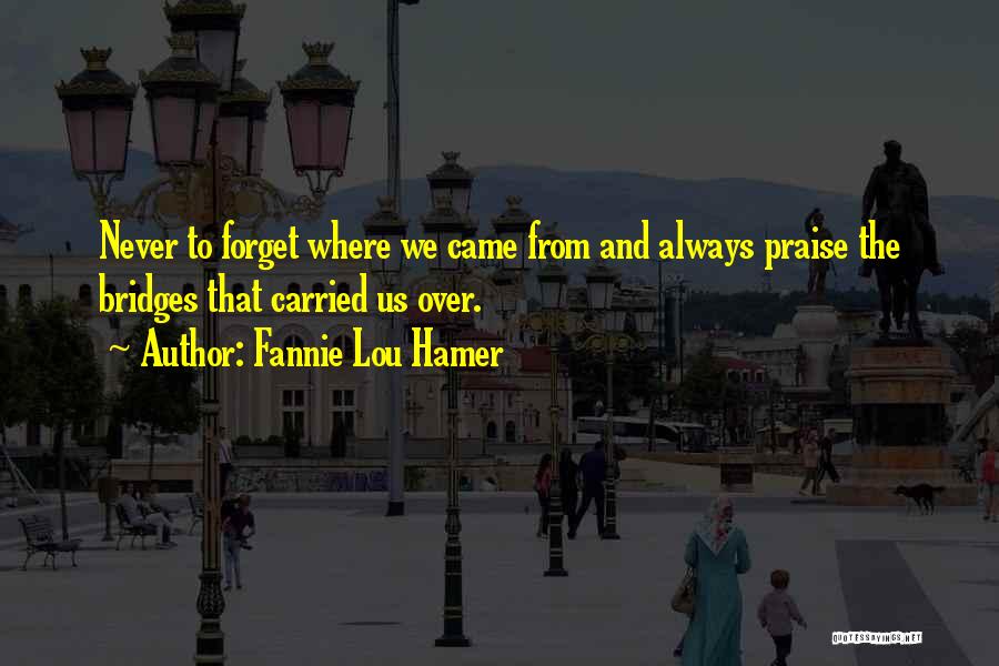 Fannie Hamer Quotes By Fannie Lou Hamer