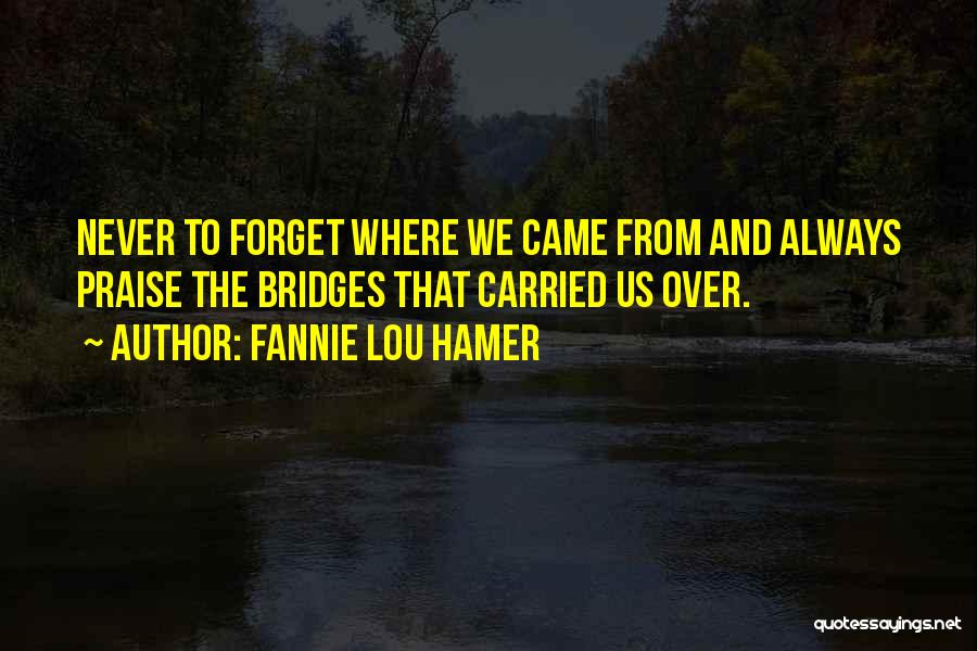 Fannie Lou Hamer Quotes 699089