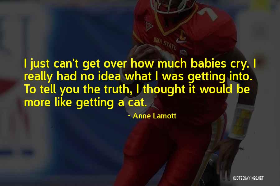 Fans And Mosquitoes Quotes By Anne Lamott Fans And Mosquitoes Quotes By Anne Lamott