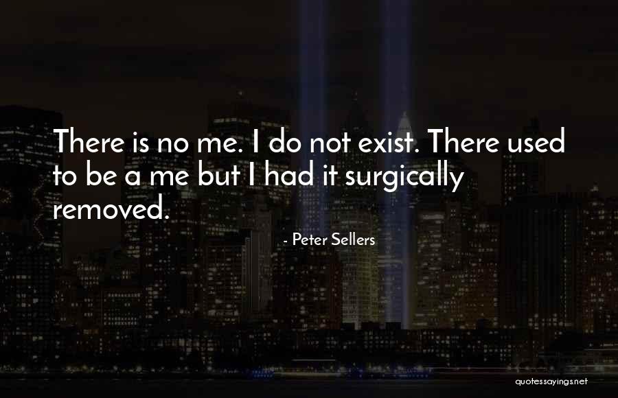 Fans And Supporters Quotes By Peter Sellers Fans And Supporters Quotes By Peter Sellers