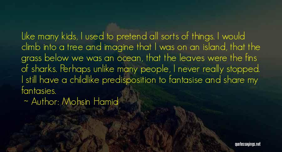Fantasise Quotes By Mohsin Hamid